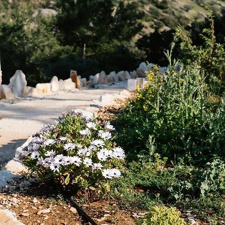 Nature House With A Wooden Porch - Pasika, House Luca * Pucisca