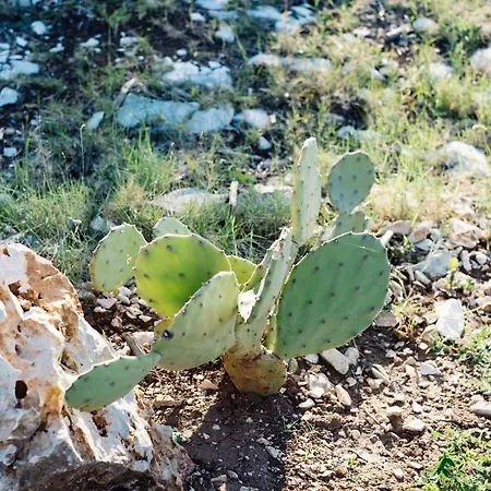 Nature House With A Wooden Porch - Pasika, House Luca Holiday home